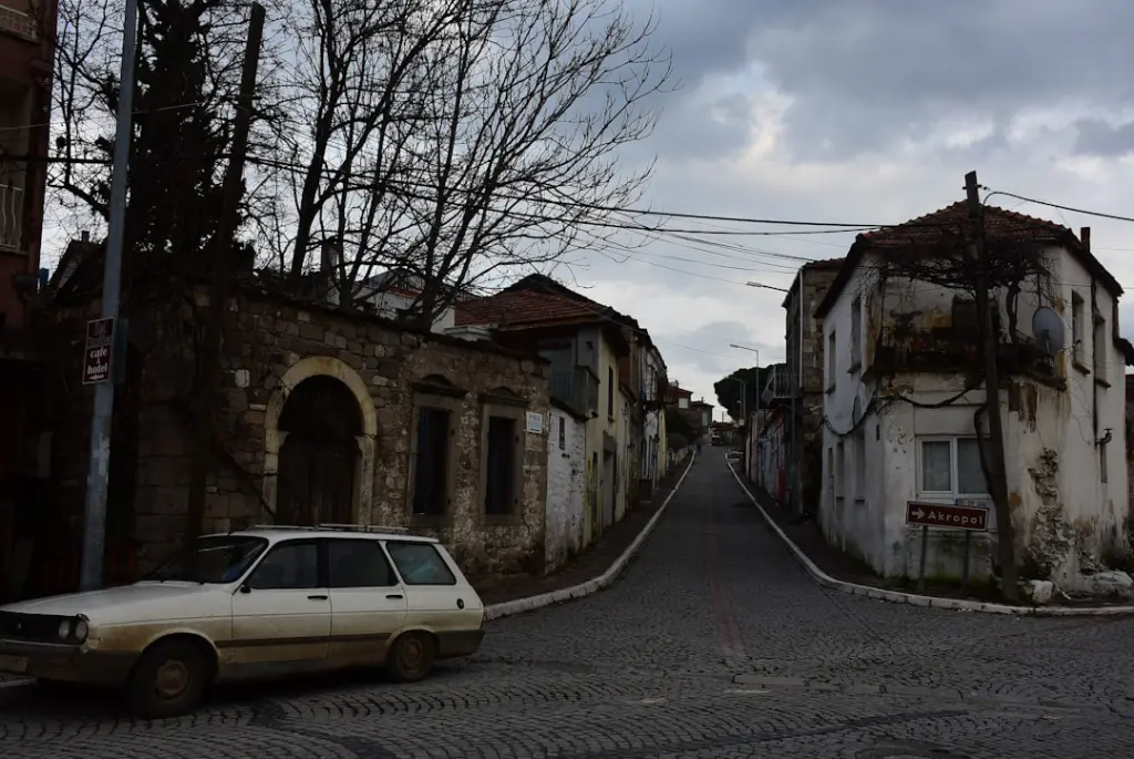 A vintage station wagon parked on a cobblestone street.